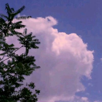 无尽苍龙正式版下载